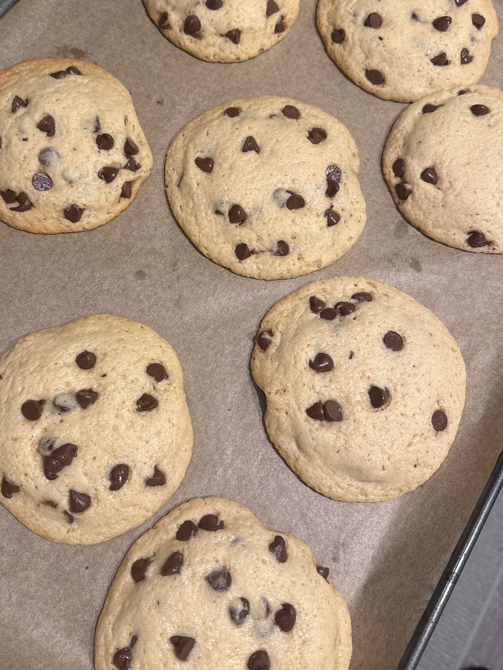 Sourdough Chocolate Chip Cookies (Pre-Order)