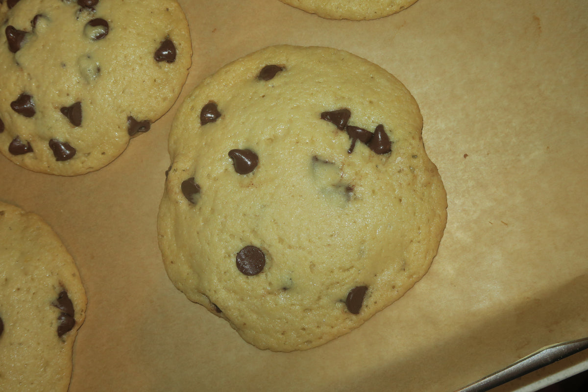 Sourdough Chocolate Chip Cookies (Pre-Order)