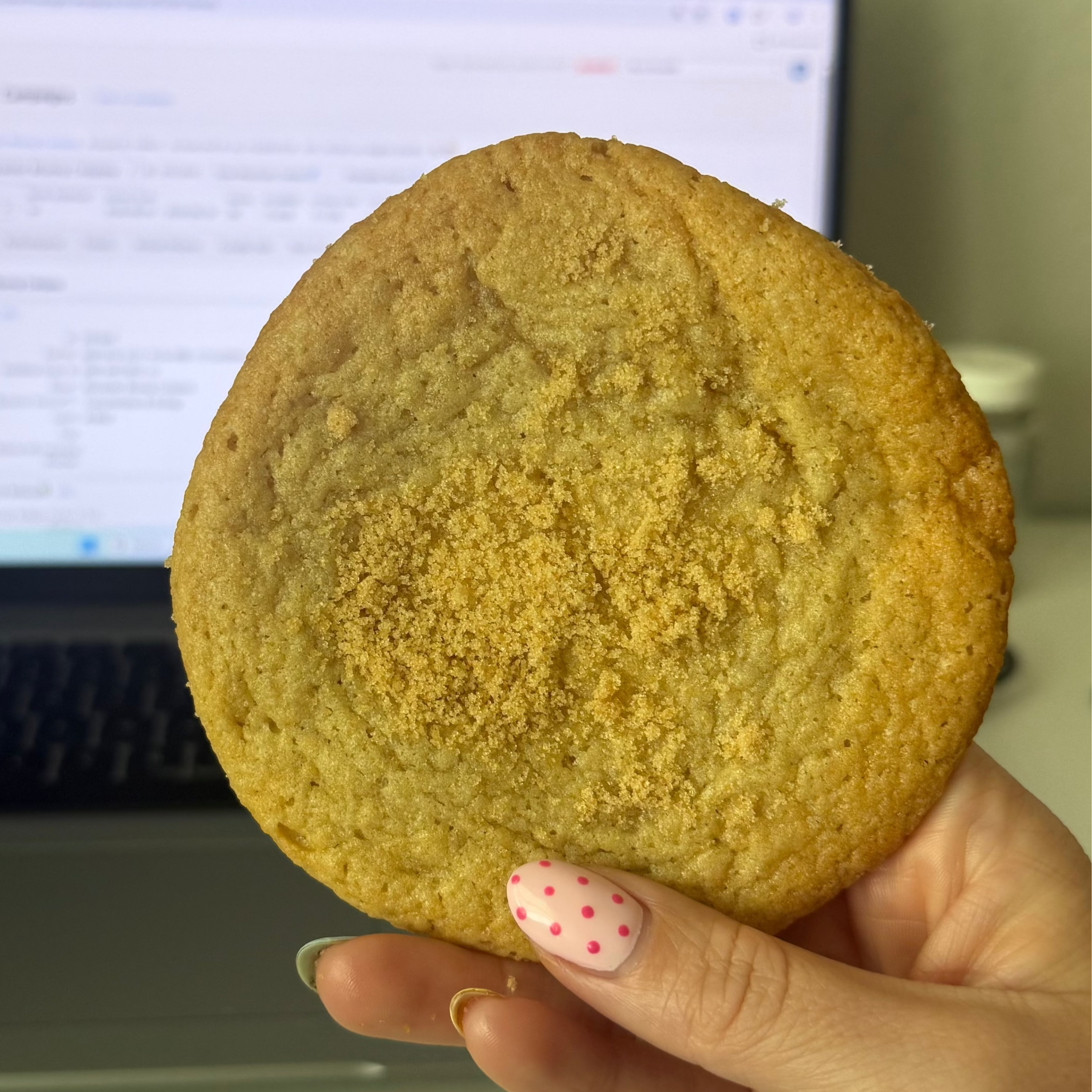 Sourdough Sugar  Cookies (Pre-Order)